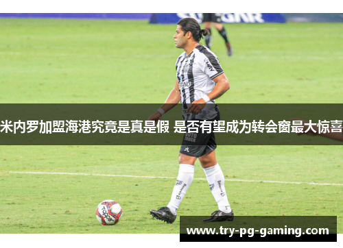 米内罗加盟海港究竟是真是假 是否有望成为转会窗最大惊喜 米内罗加盟海港究竟是真是假 是否有望成为转会窗最大惊喜