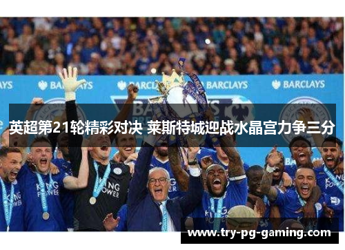 英超第21轮精彩对决 莱斯特城迎战水晶宫力争三分 英超第21轮精彩对决 莱斯特城迎战水晶宫力争三分