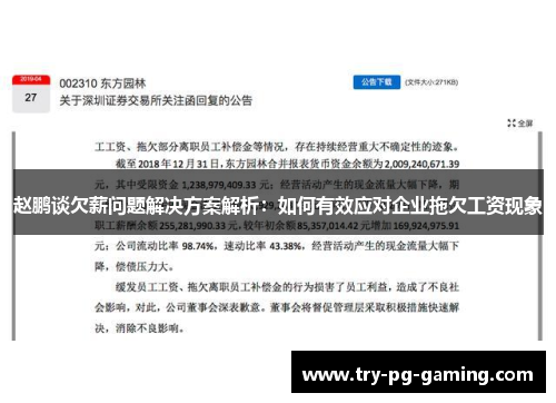 赵鹏谈欠薪问题解决方案解析：如何有效应对企业拖欠工资现象